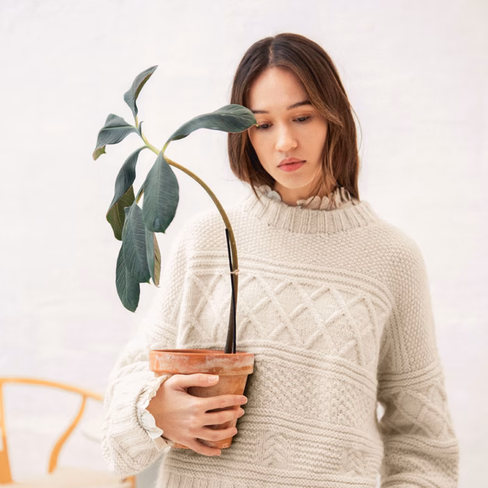 Sandnes Garn mustriraamat